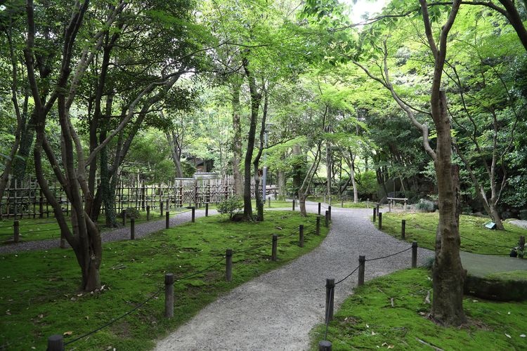 Yusentei Park 3