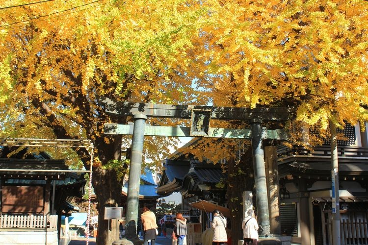 Yushima Tenmangu 4