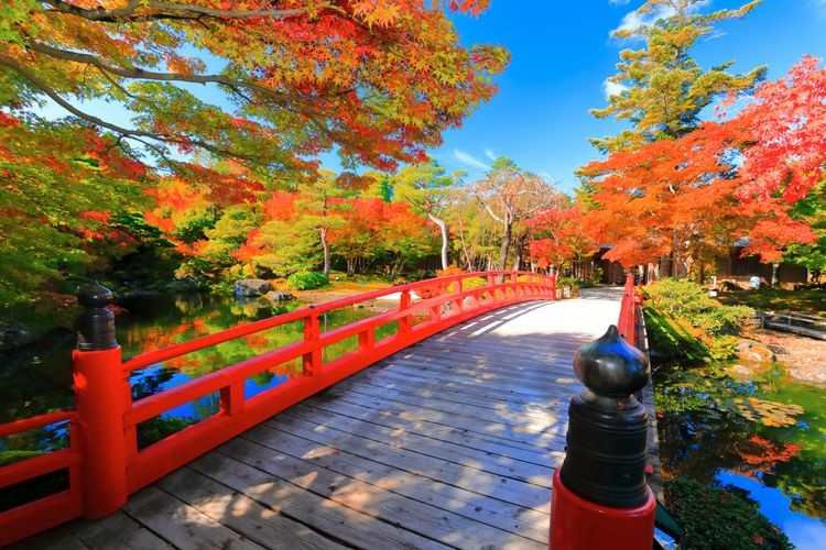 由志園