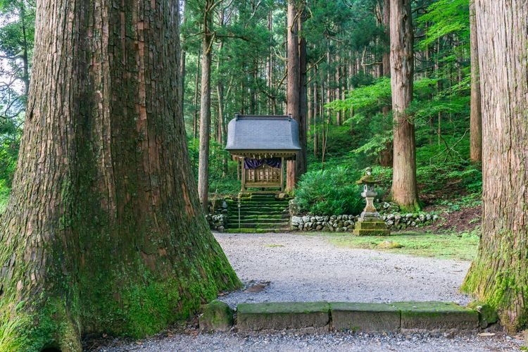 雄山神社（芦峅中宮祈願殿） 3