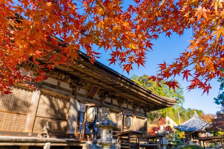 Zensui-ji 2