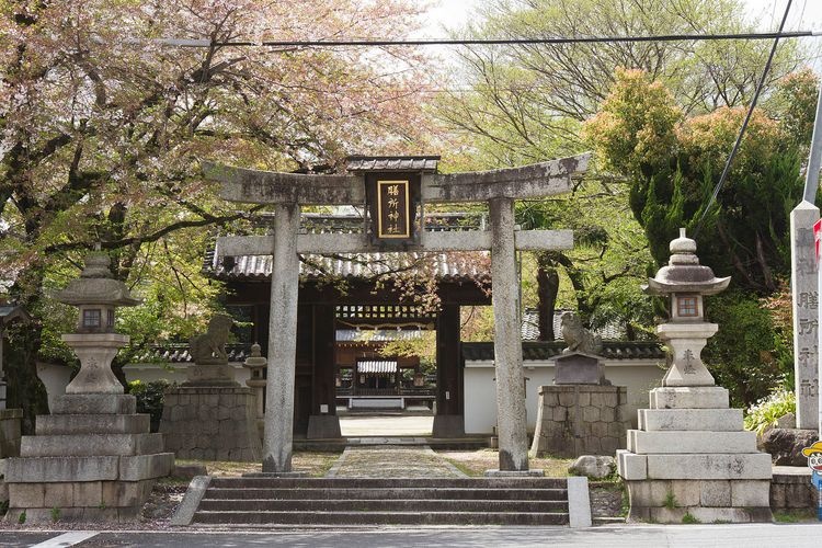 제소 신사 (Zeze Jinja) 3