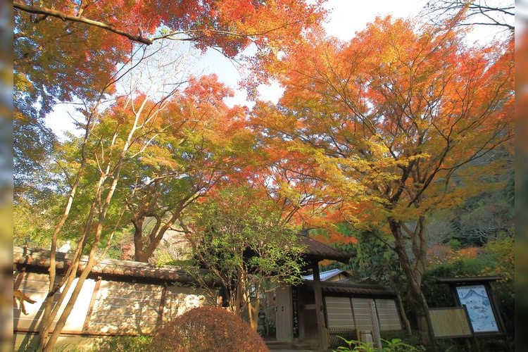 瑞泉寺 2