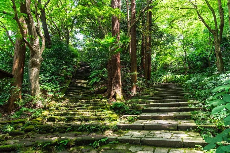 瑞泉寺 4