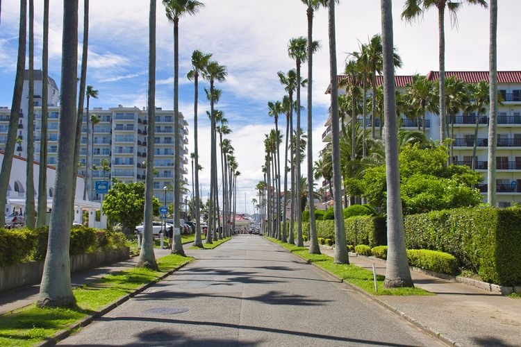 Zushi Marina